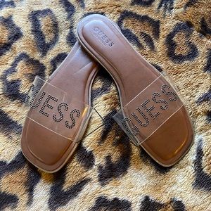 GUESS Slides
